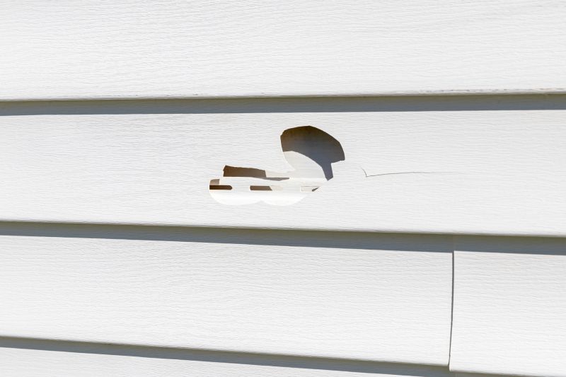 Crack Fix in Vinyl Siding